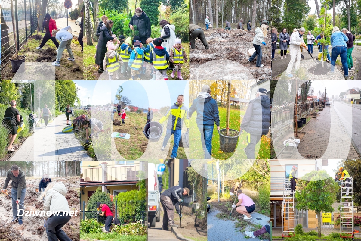 Zielona Gmina Dziwnów